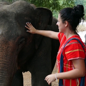 elefantes en tailandia