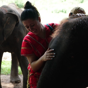 con elefantes en tailandia