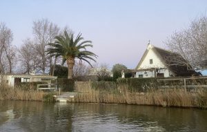 paseo en barca por la albufera