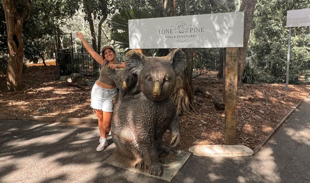 lone pine koala sanctuary