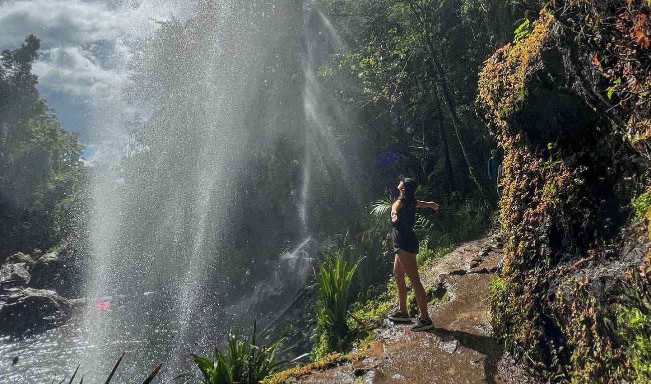 springbrook national park
