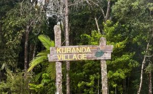 que hacer en kuranda