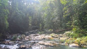 riachuelo en kuranda