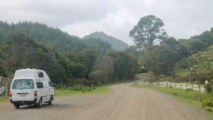 paisaje stuart and the pigs