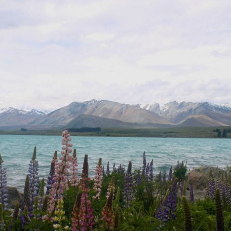 Día 11: Queenstown, Arrowtown y viaje a MountCook