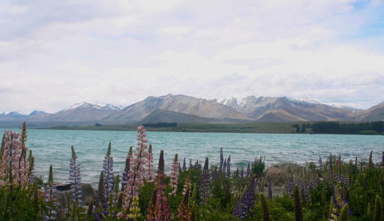 lago tekapo