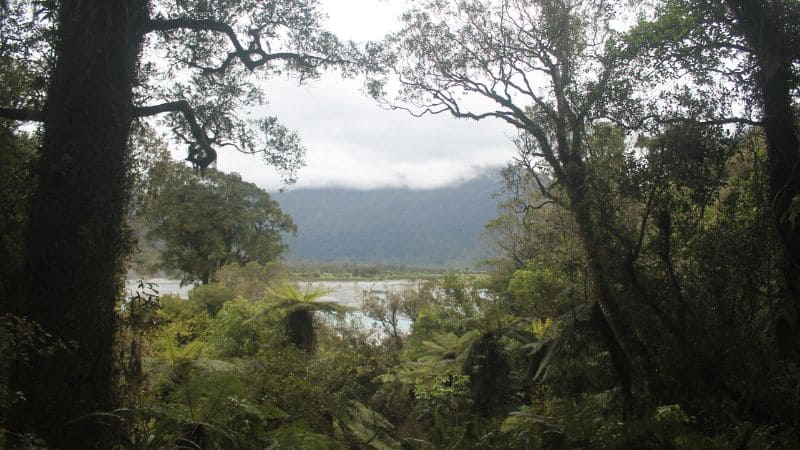 naturaleza hokitika gorge naturaleza hokitika gorge
