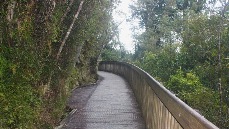 sendero hokitika gorge walks sendero hokitika gorge walks