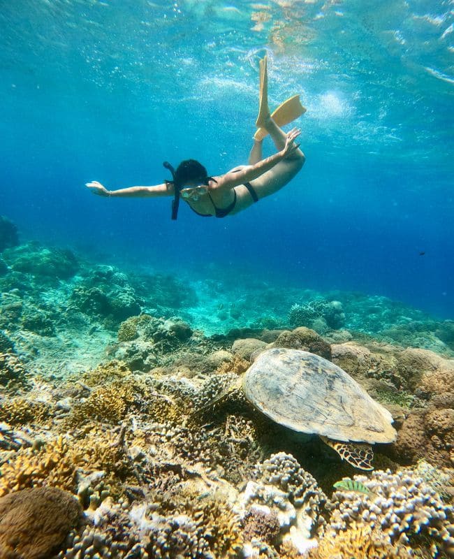 snorkel en las islas gili snorkel en las islas gili