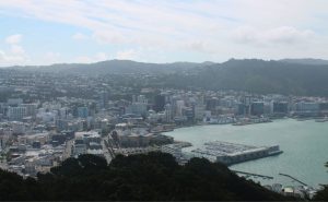 ver wellington en un dia