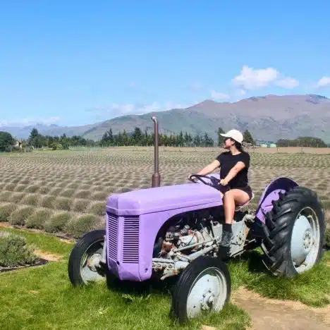 Un día en Wanaka: Relax junto al lago y alrededores