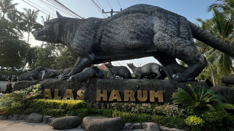 alas-harum-bali