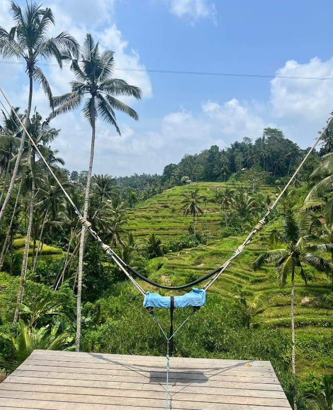 columpios-arrozales-bali