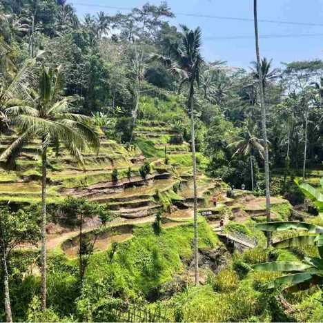 Cómo tener un buen seguro de viaje nos salvó la vida en Indonesia