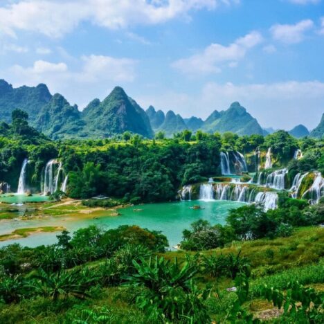 Viendo una Haka en Auckland: Una inmersión en la cultura maorí