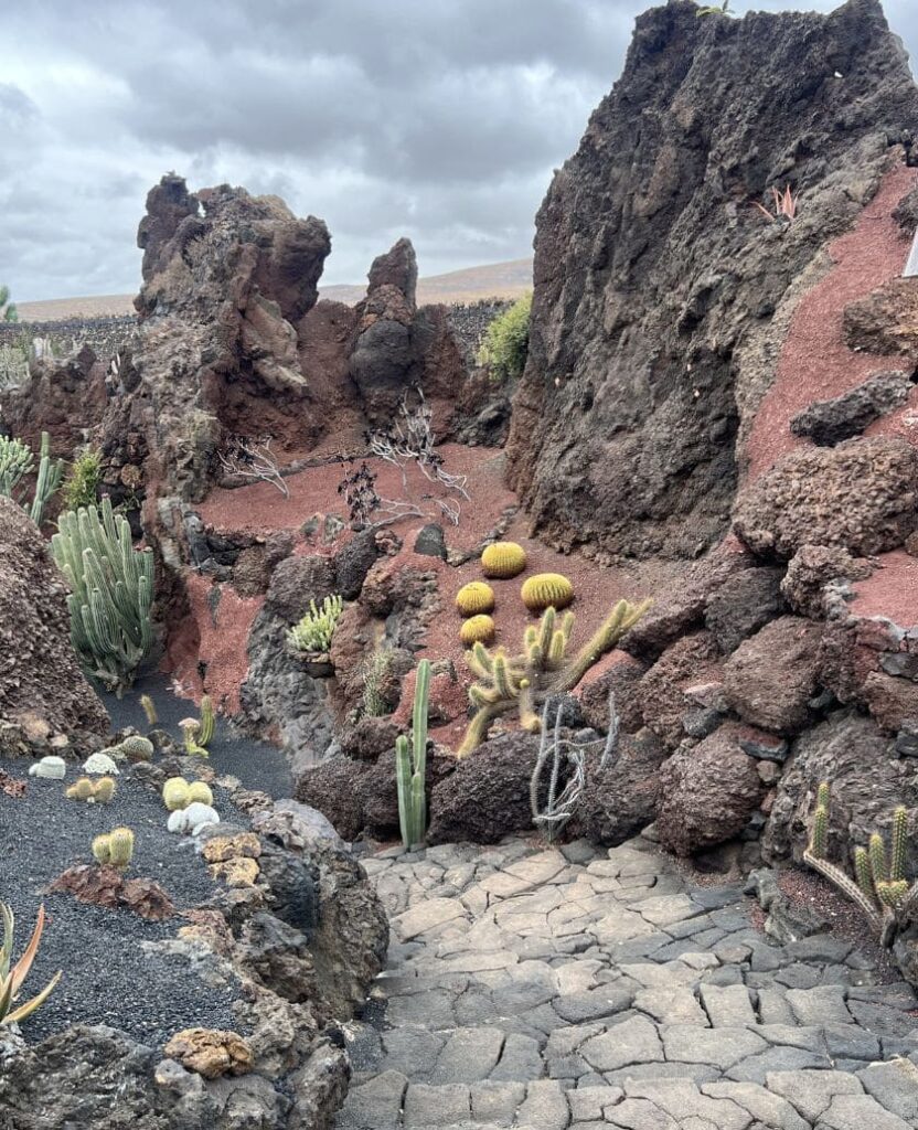 jardin del cactus en lanzarote