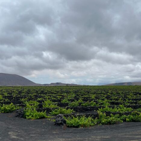 Los Hervideros de Lanzarote: el espectáculo del Atlántico chocando contra la lava
