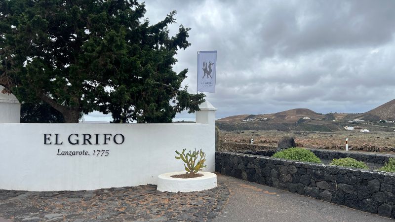 cata de vinos lanzarote